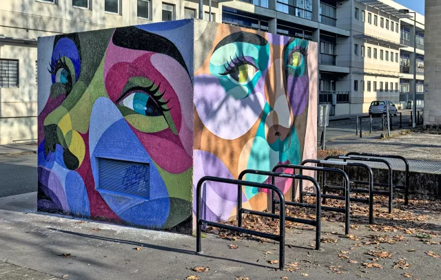 Grafs : réalisés par Alber en octobre 2021 (face gauche) et janvier 2022 (face droite) devant le lycée des Métiers d'Art Toulouse-Lautrec à BordeauxPhoto : Stéphane - 01/2022