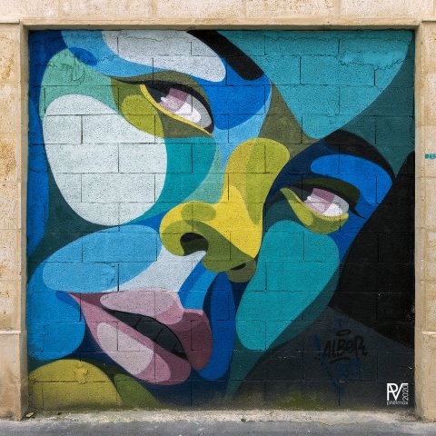 Graff : ALBER - Bordeaux, Rue Bergeon - 03/2019Photo : Philippe - 10/2020