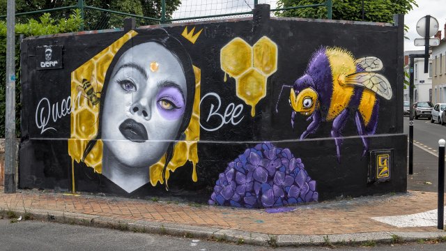 Graff : DERF (visage) &amp; GZ (abeille) - Bordeaux - 06/2020Photo : Stéphane - 06/2020
Honey Queen Bee - Réalisation inspirée d'une photo  de Laura Victoria