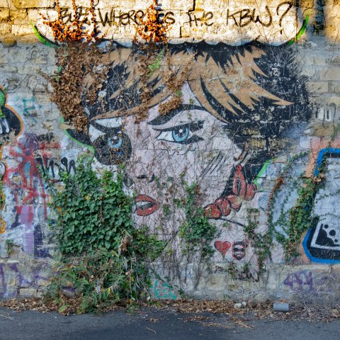 Graff : DERF - Bordeaux, Darwin - 09/2015Photo : Stéphane - 09/2020