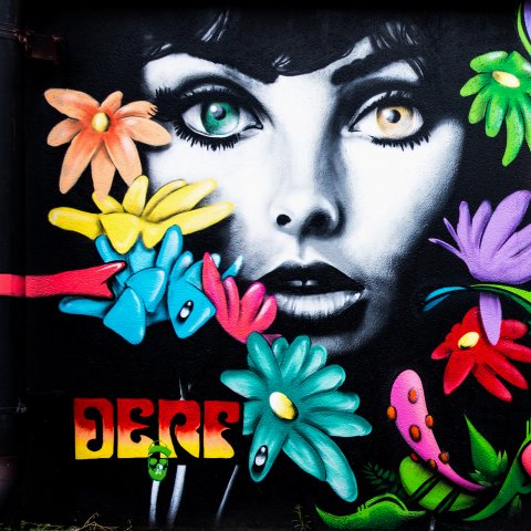 Graff : DERF - Bordeaux, Darwin - 03/2018Photo : Philippe - 2018
Jeune femme aux fleurs
