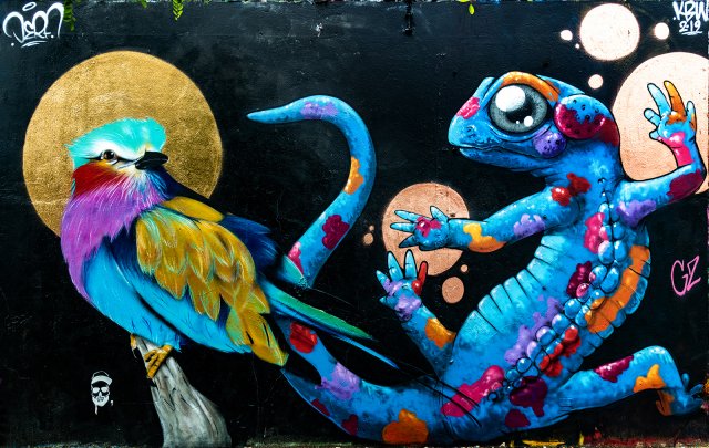 Graff : DERF (oiseau) et GZ (Salamandre) - Darwin - 06/2019Photo : Philippe - 06/2019
Vidéo de la réalisation.
