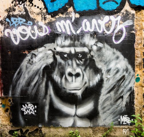 Graff : MAS - Bordeaux, Darwin - 12/2017Photo : Phillipe - 06/2018
 