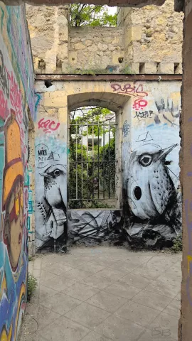 Graf : réalisé par Mika à Darwin à Bordeaux en mai 2021Photo : Stéphane - 05/2021