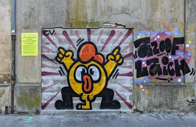 Graf : réalisé par Philippe POULET rue Terres de Borde à Bordeaux en décembre 2021Photo : Stéphane - 01/2022