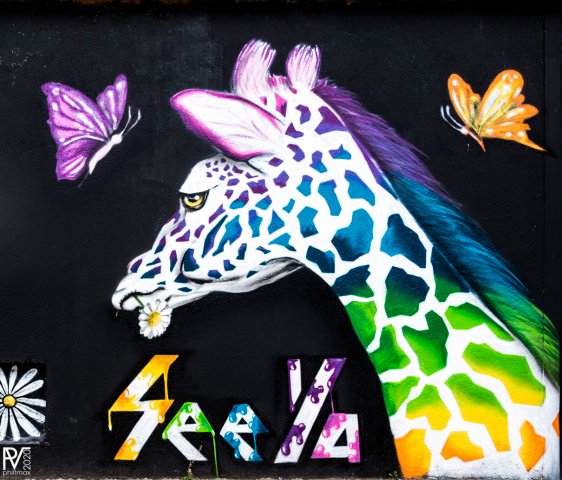Graf : réalisé par SEE YA à Darwin à Bordeaux en avril 2018 dans le cadre du festival "figures de style"Photo : Philippe