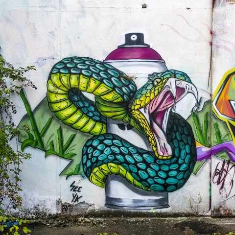 Graf : "Snake in the city" réalisé par SEE YA en août 2019Photo : Philippe - 10/2020
 