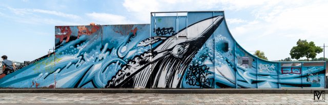 Graff : Zarbfullcolor skate park  Bordeaux, 2016Photo : Philippe - 2016